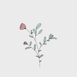 Meet your Posher, Cheyanne